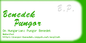 benedek pungor business card